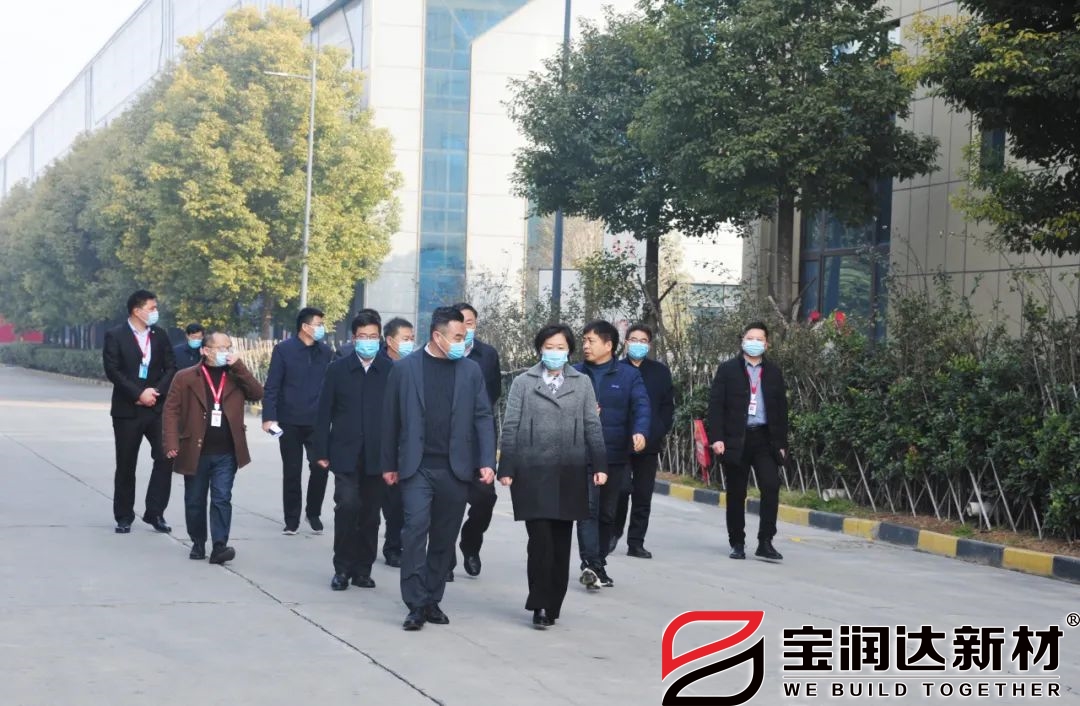 長(zhǎng)葛市長(zhǎng)張曉麗一行來(lái)訪(fǎng)寶潤(rùn)達(dá)